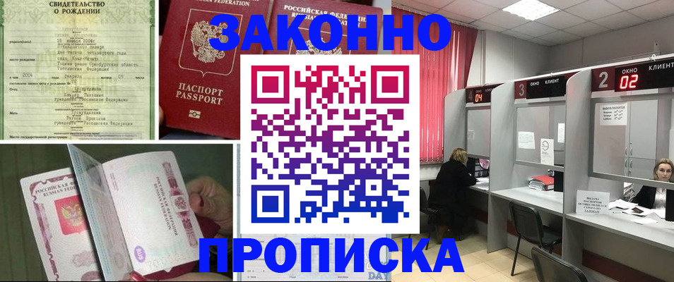 прописка в квартире в Светлогорске